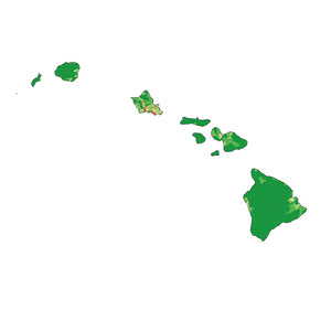 Hawaii - State Analyzer