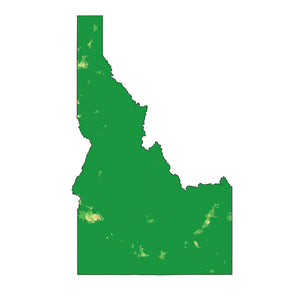 Idaho - State Analyzer