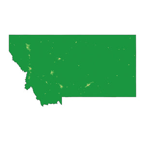 Montana - State Analyzer