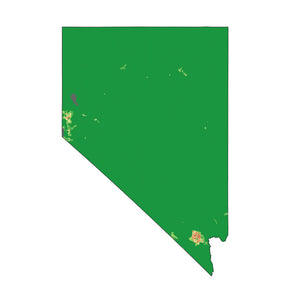 Nevada - State Analyzer