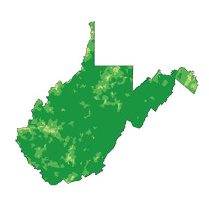 West Virginia - State Analyzer